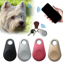 Carregar imagem no visualizador da galeria, PET Smart Security