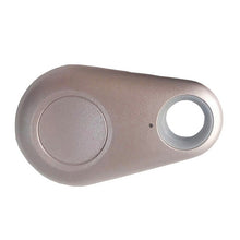 Carregar imagem no visualizador da galeria, PET Smart Security